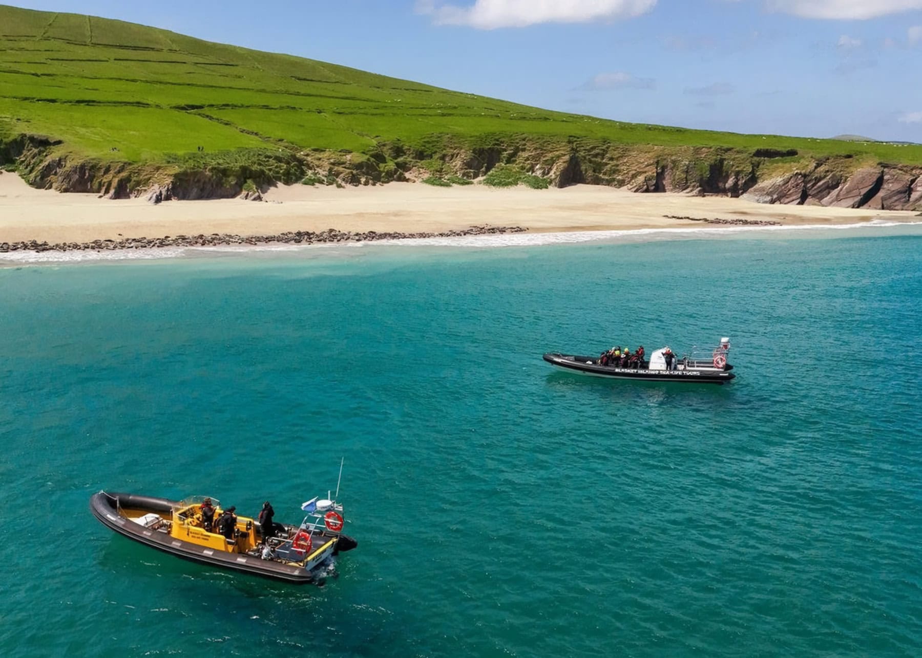 Aerial view of two tour boats cruising in turquoise waters near the Blasket Islands. The boats approach a pristine sandy beach backed by dramatic green cliffs and rolling hills. Part of the Blasket Islands Sealife Tour along Ireland's Dingle Peninsula coastline.