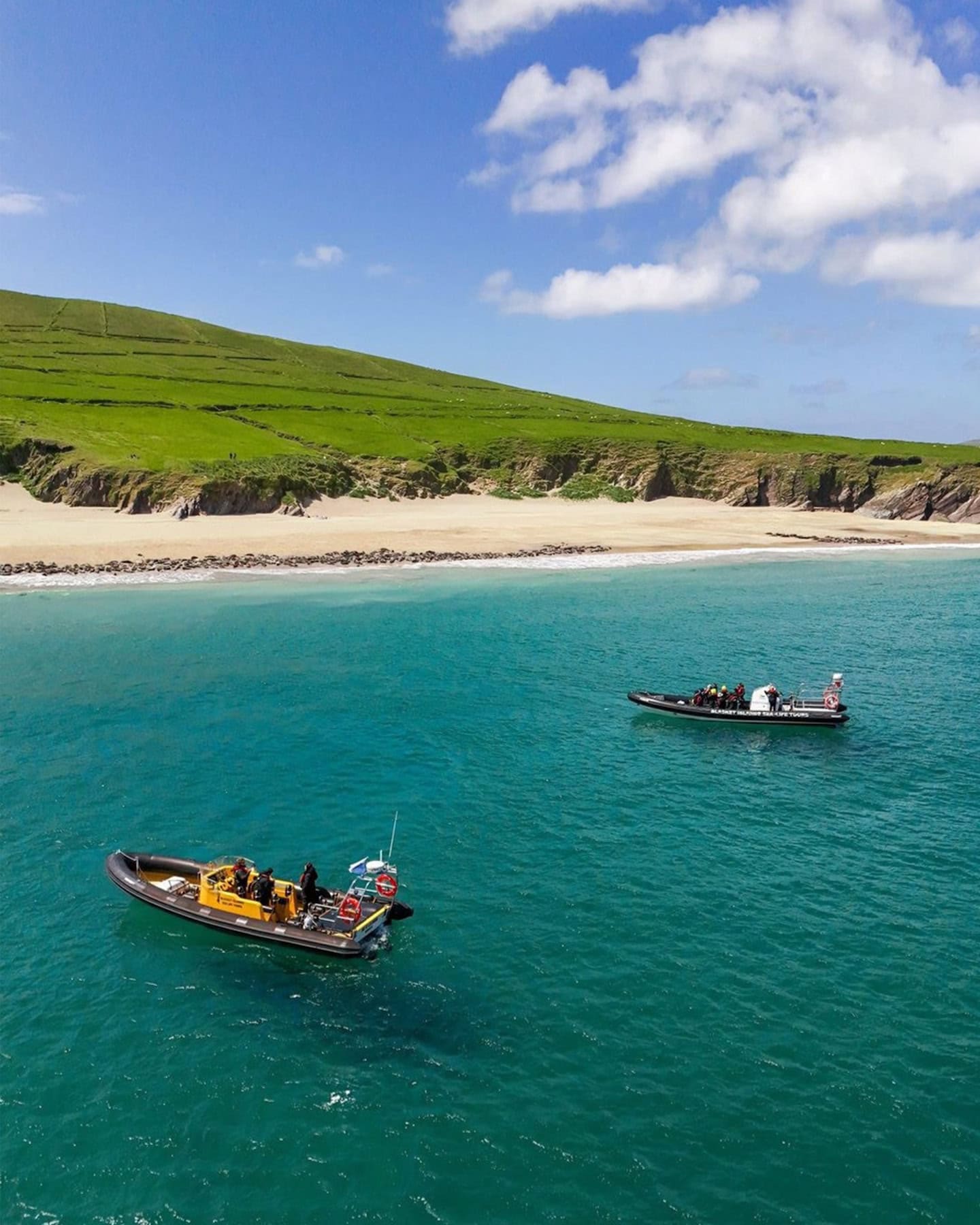 Blasket Island Sealife Tours